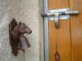 DSC03219.jpg