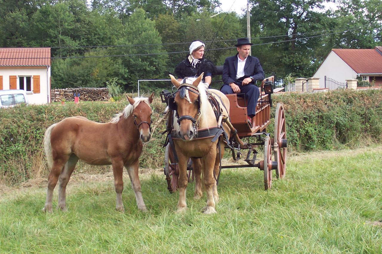 Bulhon défilé tradition 2006