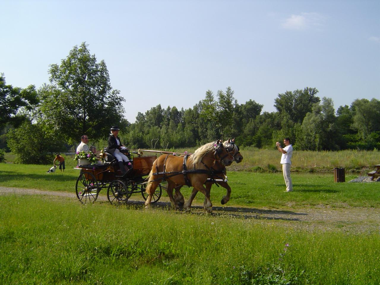 Mariage Dallet 2007