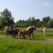 Mariage Dallet 2007