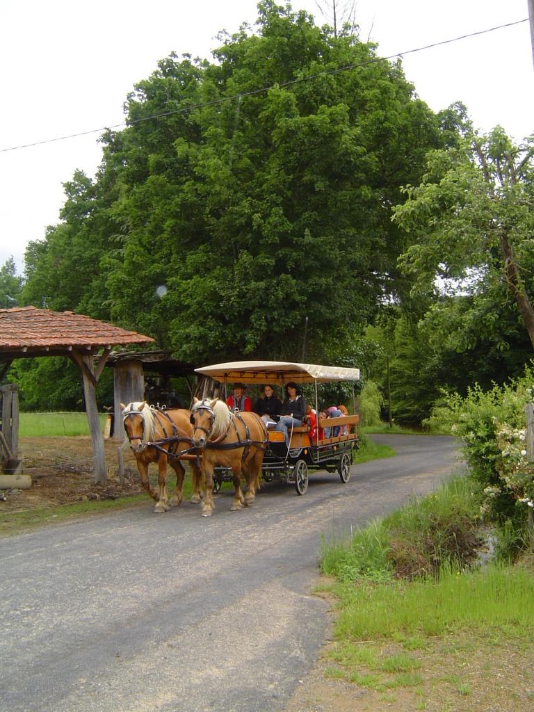 Calèche accessible