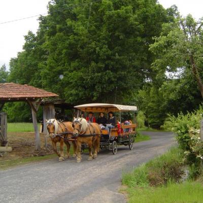 Journées en attelage