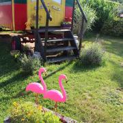 Roulotte Gitane et Flamingos