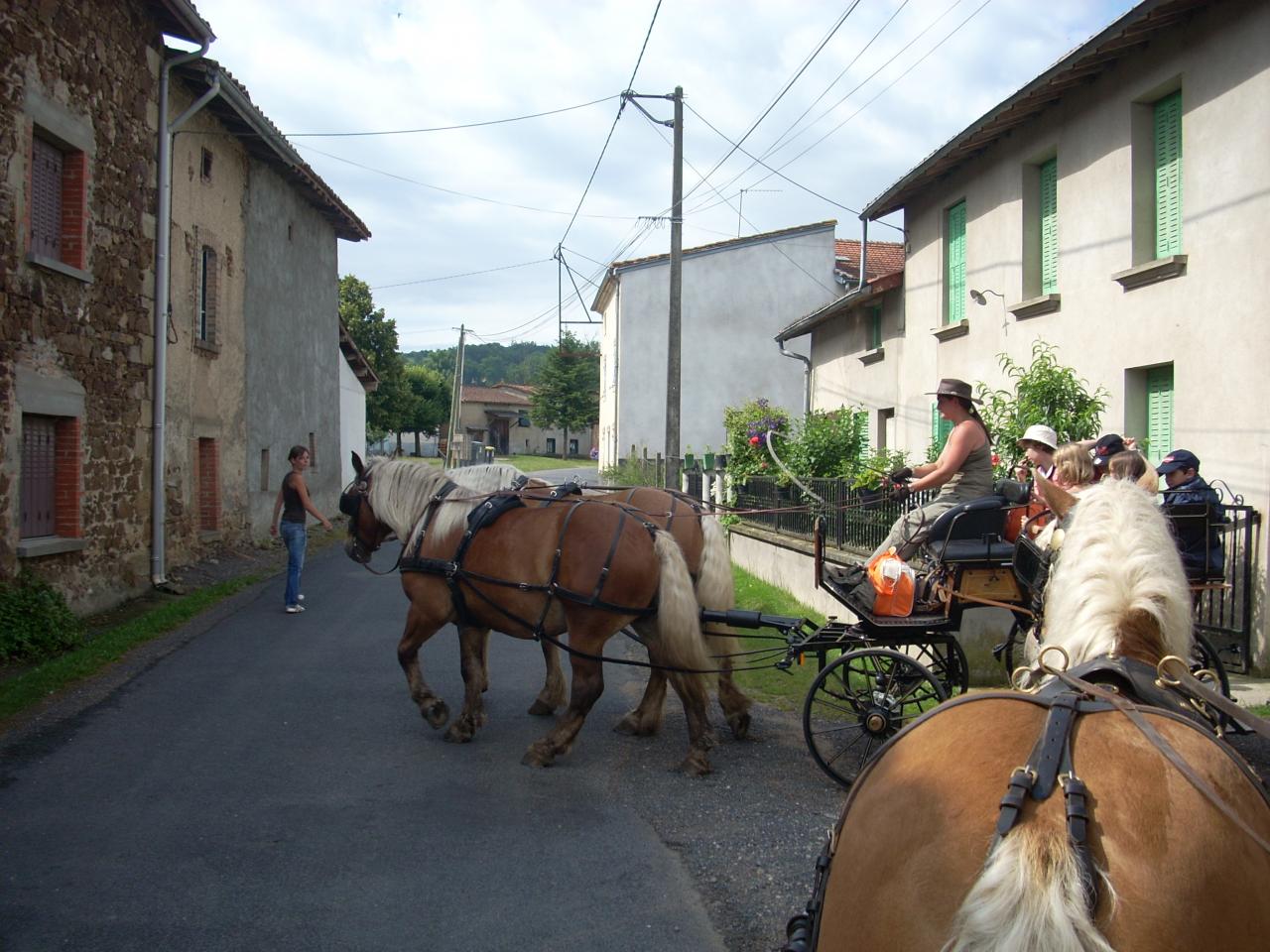 Plusieurs attelages
