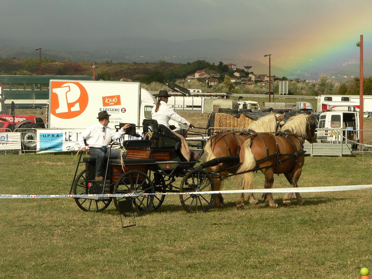 Sommet de l'élevage épreuve dressage