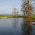 DSC02206.jpg